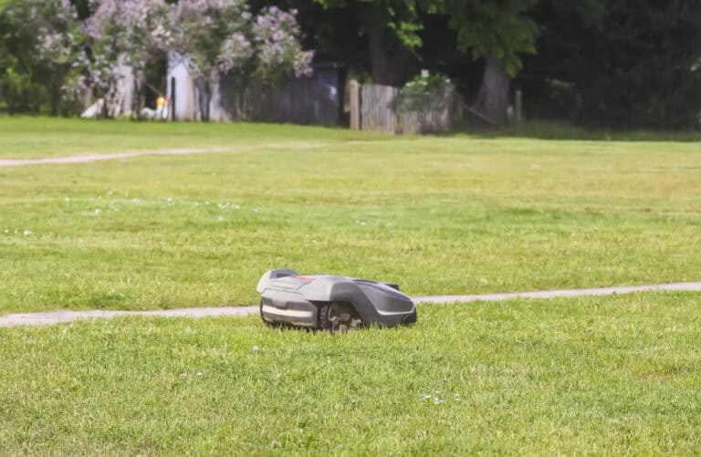 Robotmaaier bij extreme hitte: wat doe je best?
