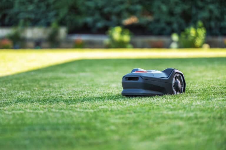 Robotmaaier groen gazon